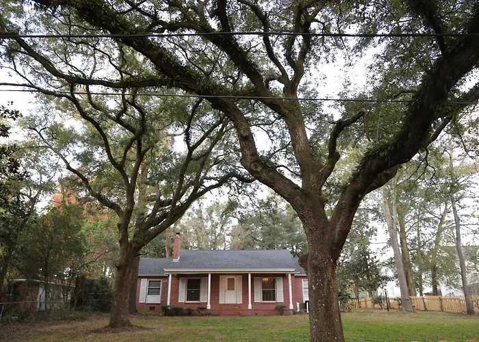 Mid-Century Comfy-Chic Chateau 3/2 Pet Friendly